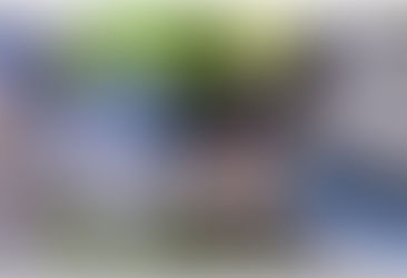 Qui peut nettoyer les panneaux photovoltaïques ?