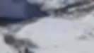Location matériel de ski Chamonix La Vormaine | Mandrillon Sports