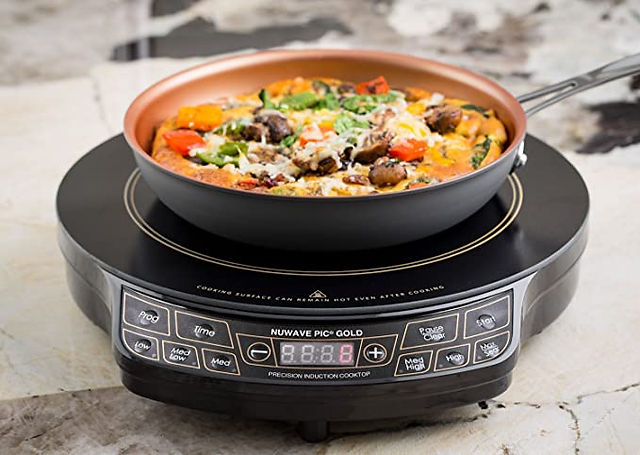 Induction Hot Plate
