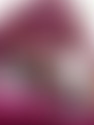 Walmir Borges homenageia Djavan em show especial no Teatro Liberdade