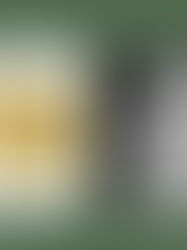 A força da nova música instrumental: Sergio Krakowski e Bernardo Ramos ocupam o Recipiente Porongo