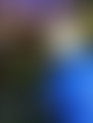 Djavaneio anuncia novas datas no Brasil e exterior