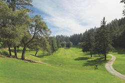 Meadowood Golf Club