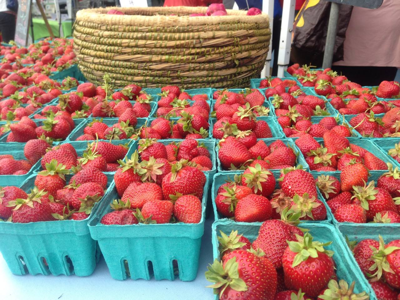 HOME wrightstownfarmers