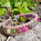Thumbnail: 3 layer Colourful Faceted Tourmaline and Rose quartz bracelet and earring set 