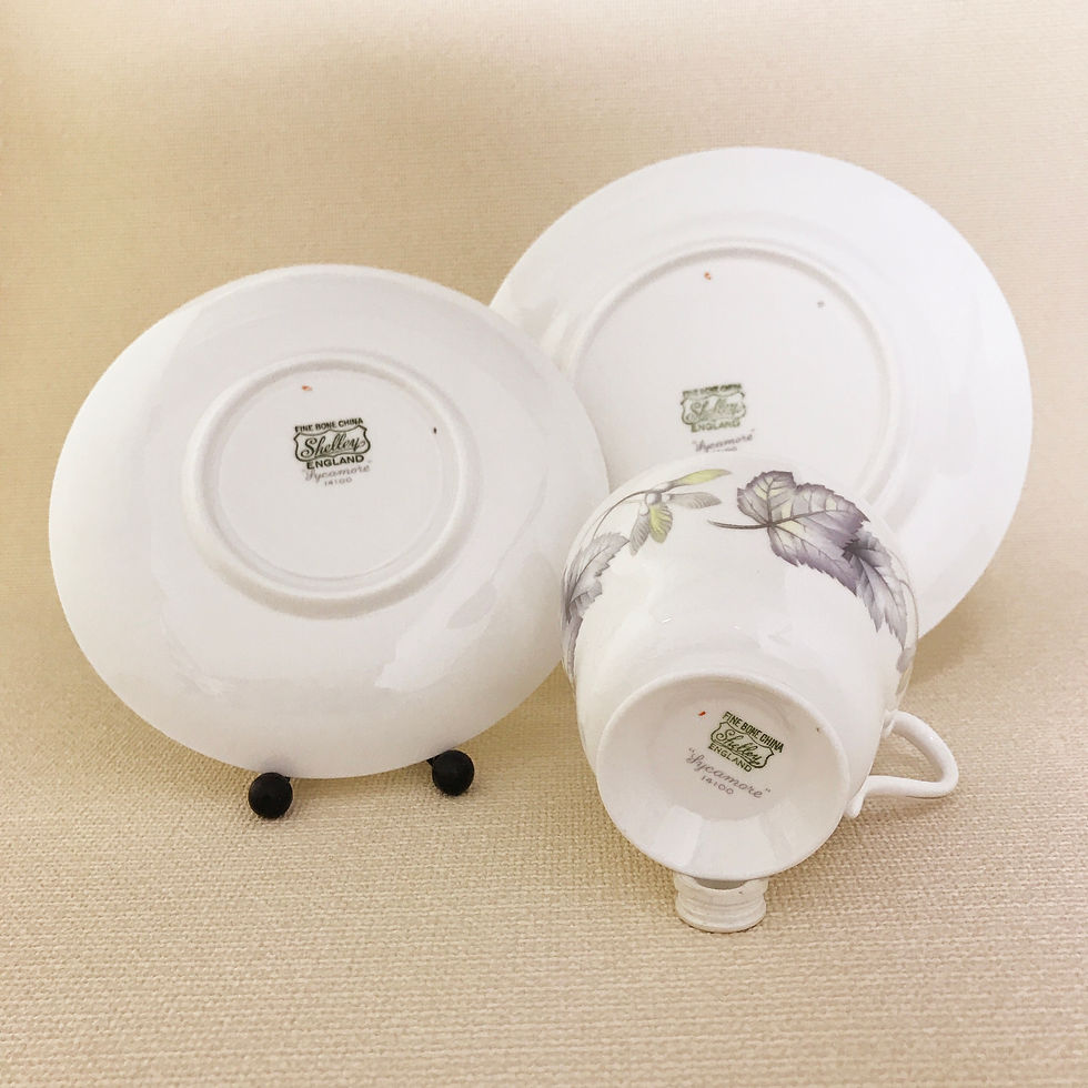 サムネイル： Shelley シェリー Sycamore シカモア トリオ