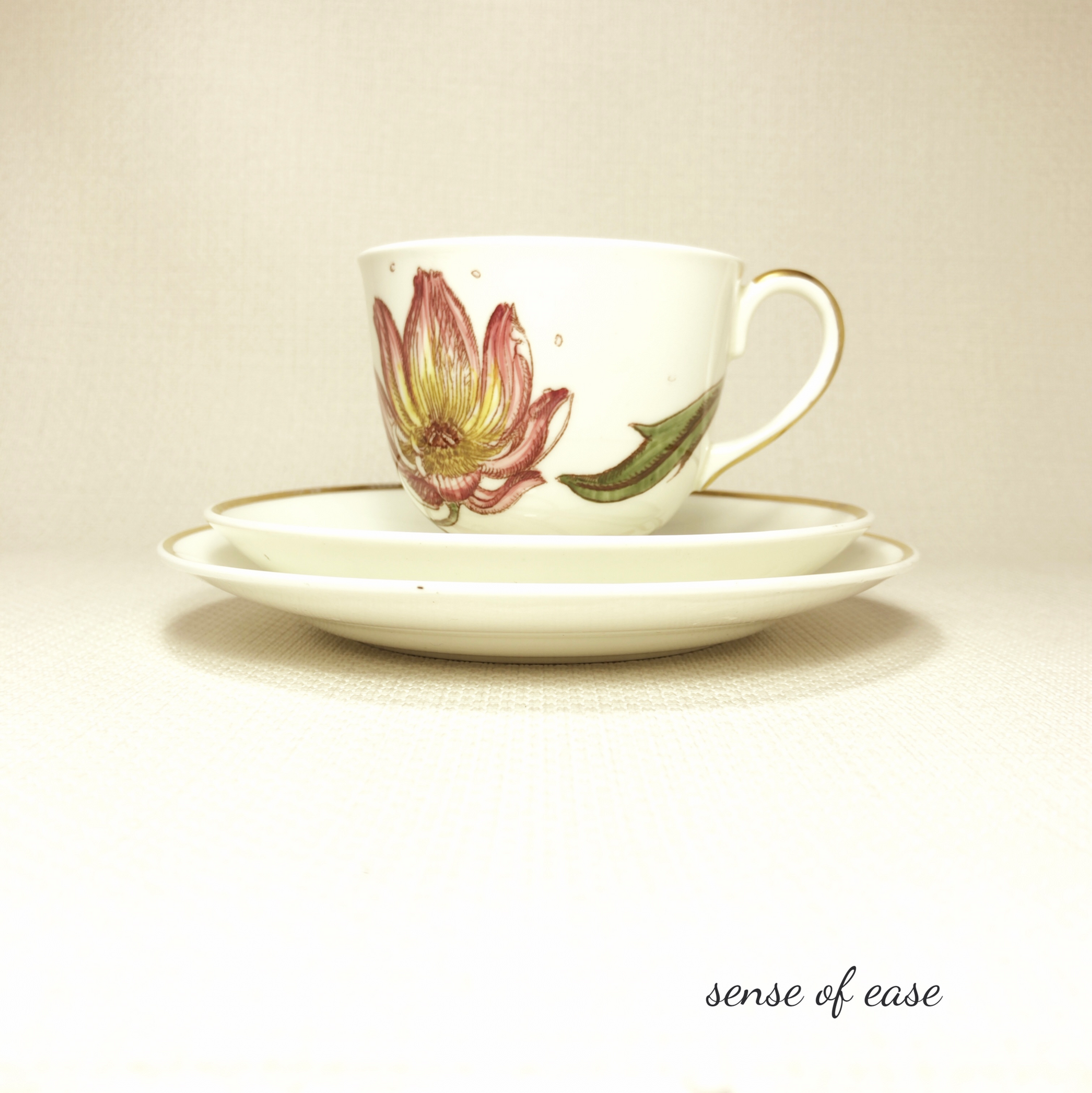 Susie Cooper スージークーパー Lotas ロータス トリオ