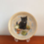 Aynsley エインズレイ Lesley Anne Ivory Cat Plate 9月 レズリー・アン・アイボリー キャット