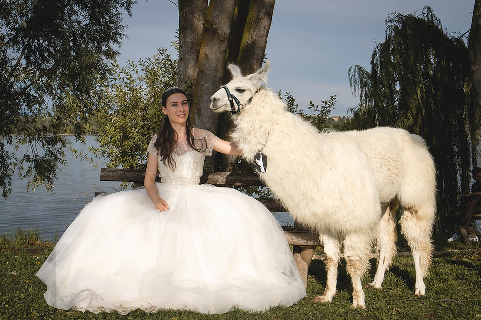 wedding at Ali del Frassino