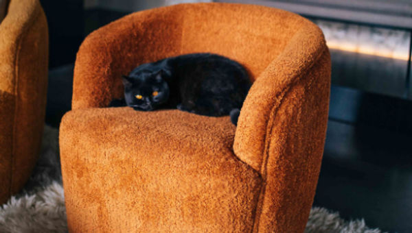 Fauteuil PORTERVILLE rouille