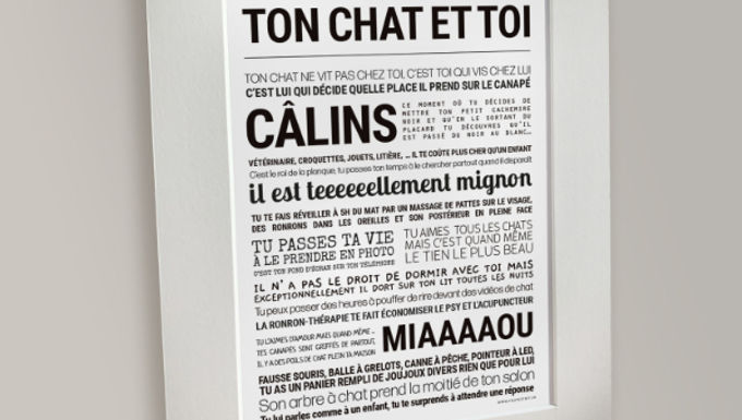Affiche TON CHAT ET TOI