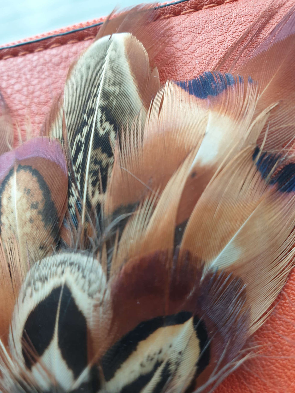 Thumbnail: Sunset/rustic orange bags come with a detachable feather brooch 