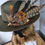 Thumbnail: Country Green fedora hat comes with this stunning detachable feather brooch 
