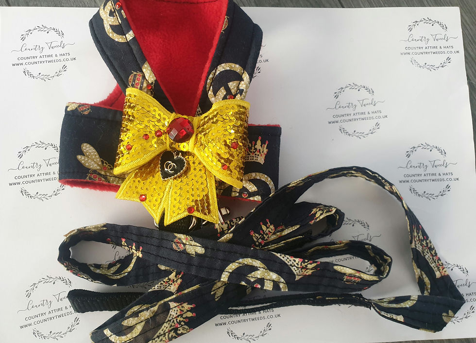 Thumbnail: Puppy chihuahua harness and lead set