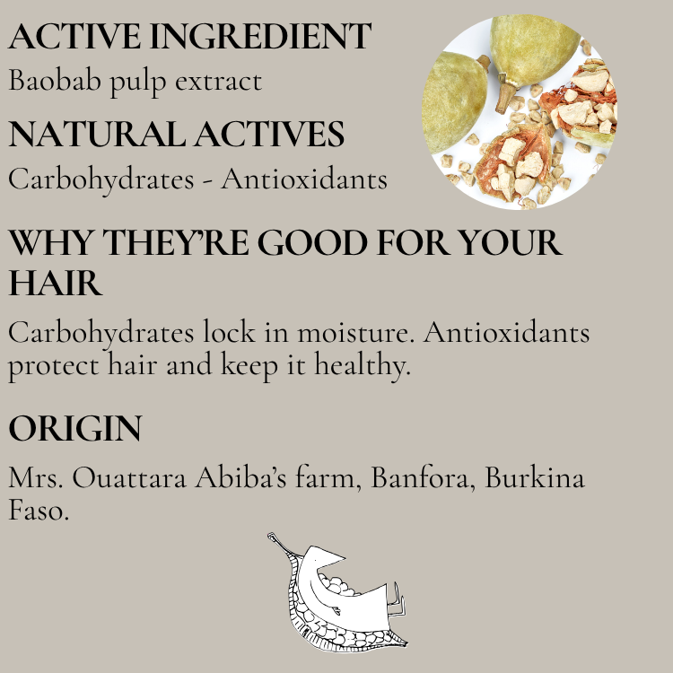 FUN FACT ABOUT BAOBAB