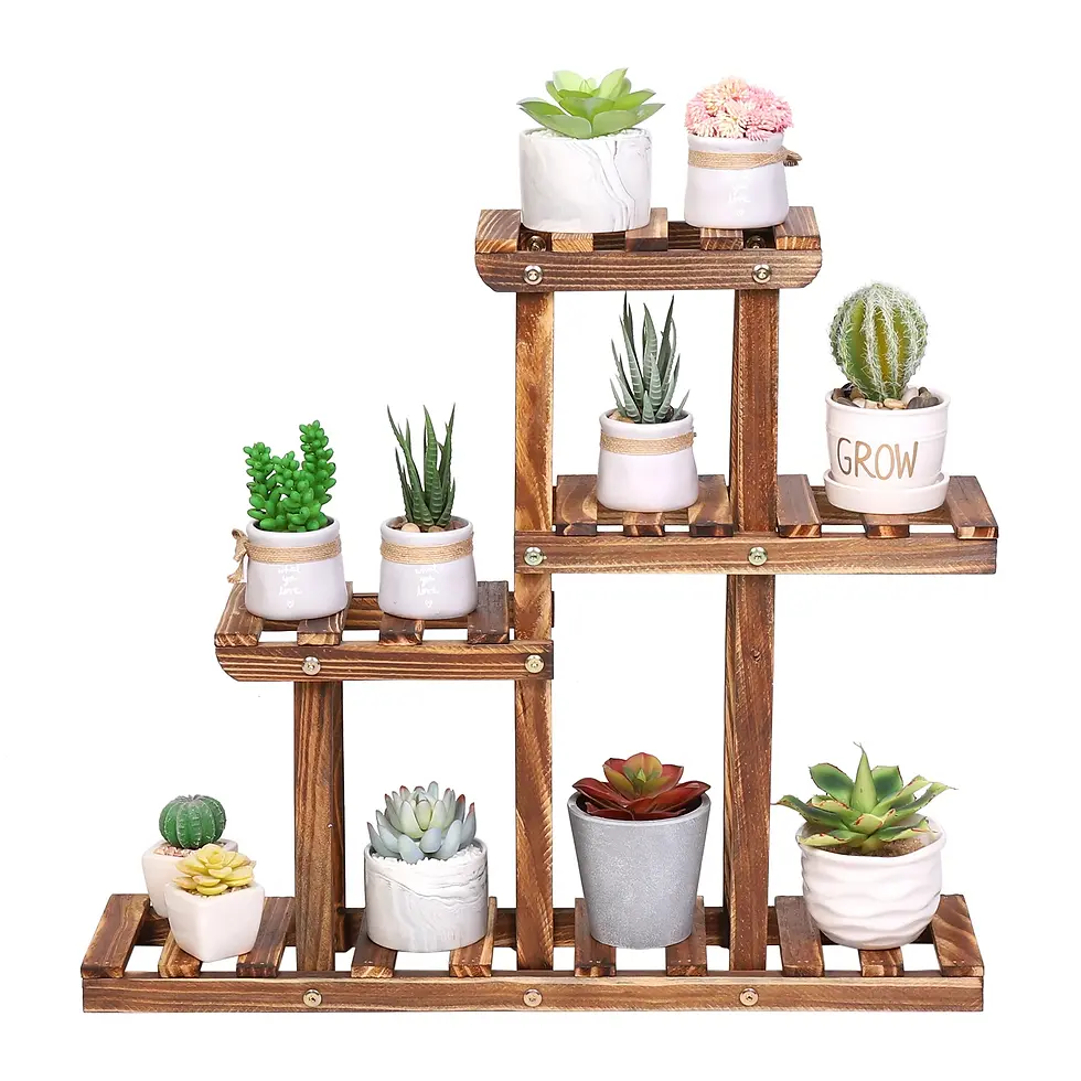 Thumbnail: Mini Carbonized Wood Succulent Stand