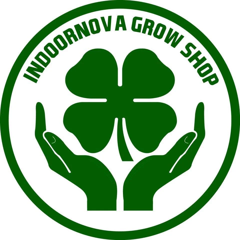 Indornova-d6e7c86a.webp