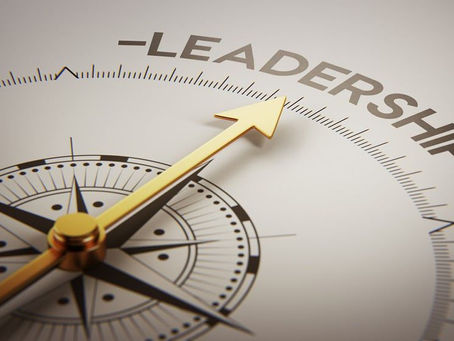 The Role of Visionary Leadership in Business Strategy