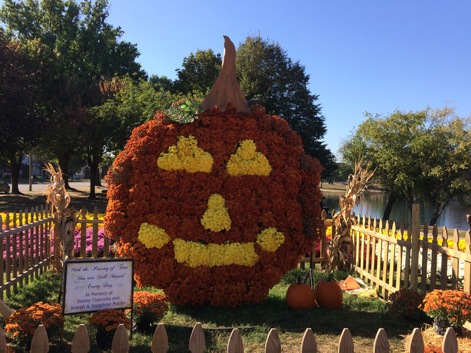 Mum Festival Barberton Parks and Recreation