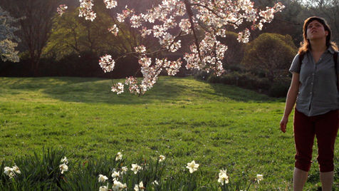 She looks up at a pink tree at sunset.