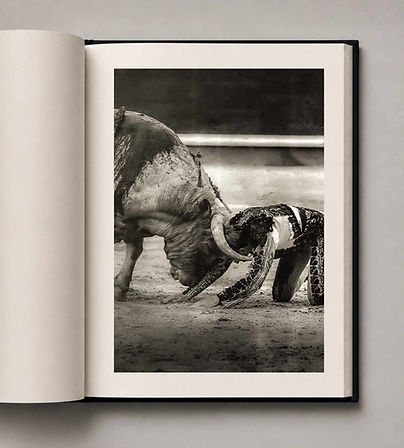 JUCARO FINE ART (33).jpg