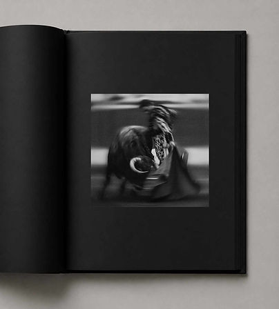 JUCARO FINE ART (42).jpg