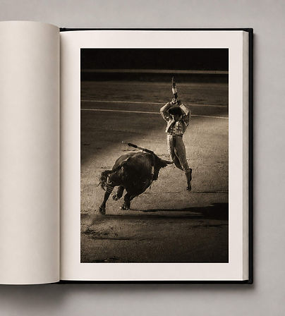 JUCARO FINE ART (12).jpg