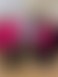 Building Community Connections with the New Cumnock Afternoon Tea Group: A Warm Afternoon at the Town Hall...