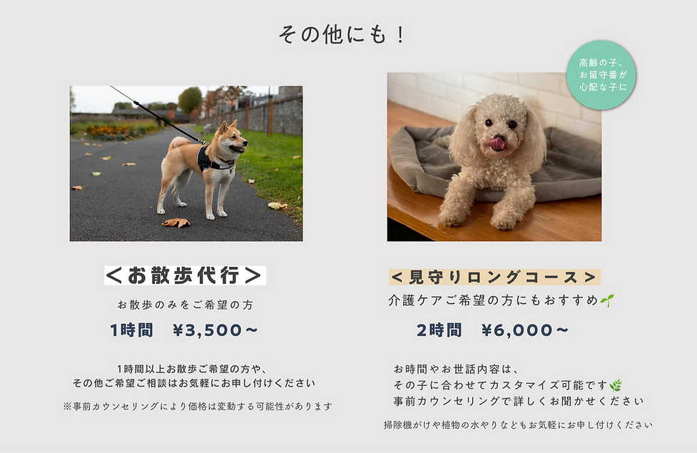 スクリーンショット 2026-05-28 14.00_edited.png