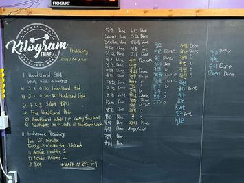 2024/06/20 Active Recovery Day