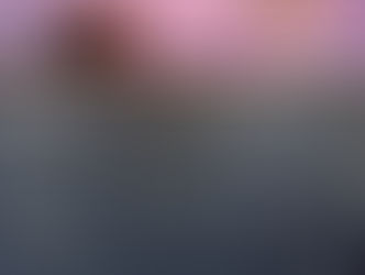 2/10/2026 Row, Deadlifts, HSPU