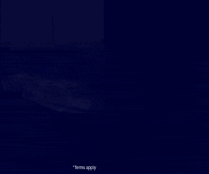 Animated Banners-300x250-px.gif