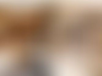 Clósets Modernos: Lujo y Organización Inteligente para tu Hogar en Chihuahua