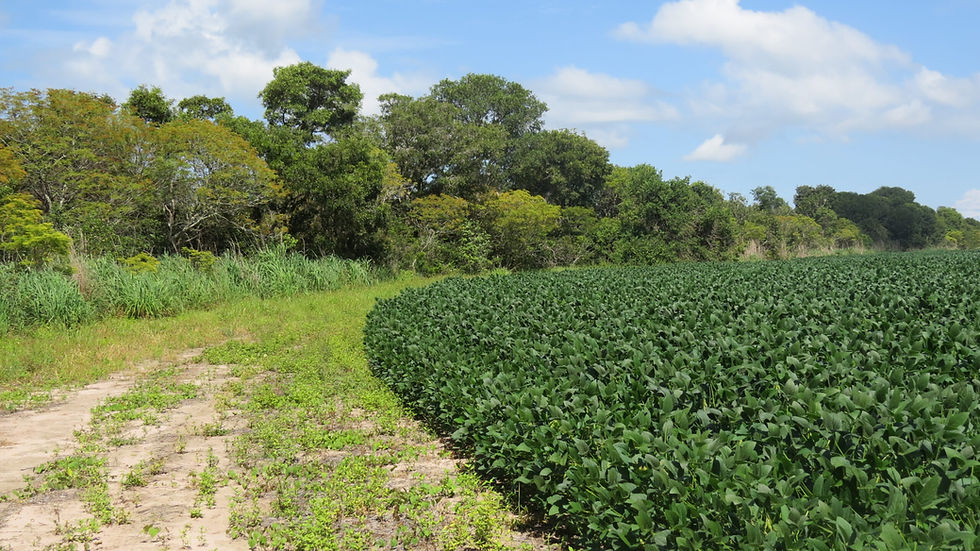 Nature-based Solutions (NbS)