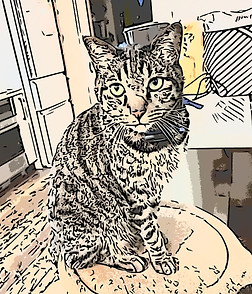 Photokako-likeness-D7yqU3RvSZD3rSIk_edit