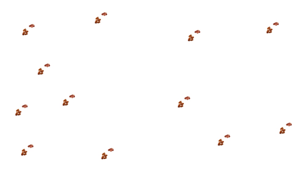 De Nuci Portada (5).png