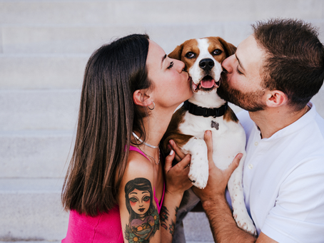 Moving with Pets: Essential Tips for a Smooth Transition