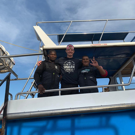 The Sharks of South Africa
