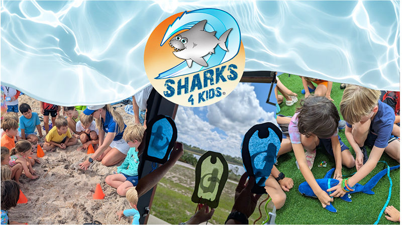 Where the Estuary Meets the Ocean: GTM Research Reserve and Sharks4Kids Partner for an Unforgettable Summer Camp