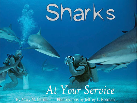 Book Review: Sharks at Your Service
