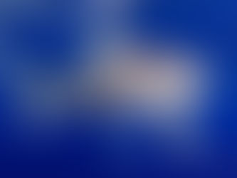 October Elasmobranch of the Month: Oceanic Whitetip Shark