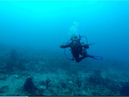 Meet Sharks4Kids Ambassador Francesca Kropp 