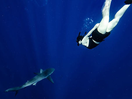 Sharks4Kids Ambassador Marissa DeBonis