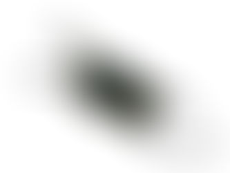 Behind the Science: A Closer Look into the World of Mermaid Purses