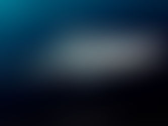 December Elasmobranch of the Month: Little Gulper Shark