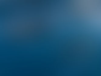 Meet Artist and Creator of Sharking Daily Rosaly van Dansik