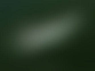 October Elasmobranch of the Month: Atlantic Sharpnose Shark