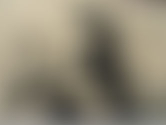 My Science Hero: Eugenie “The Shark Lady” Clark, American Ichtyologist