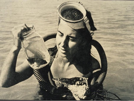My Science Hero: Eugenie “The Shark Lady” Clark, American Ichtyologist