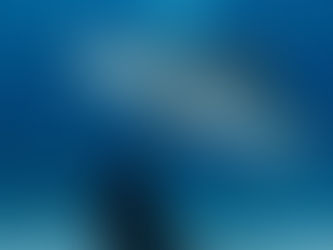 Meet Shark Eco Tour Owner & Photographer Ryan Walton